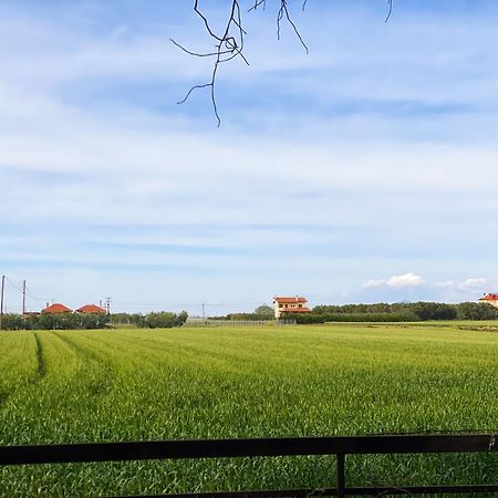 Pond And Pines, By Nice House By The Sea! Apartment Epanomi Bagian luar foto