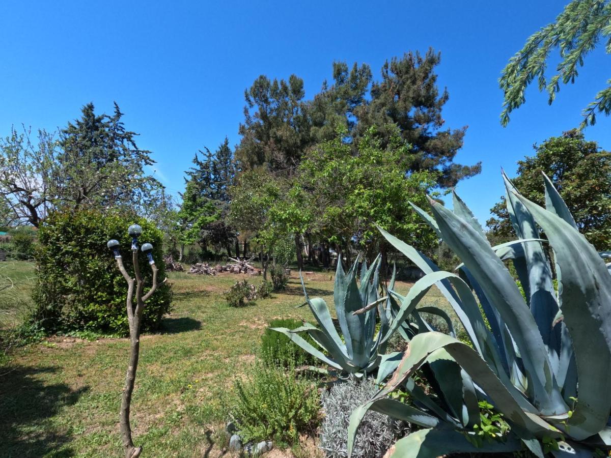 Pond And Pines, By Nice House By The Sea! Apartment Epanomi Bagian luar foto