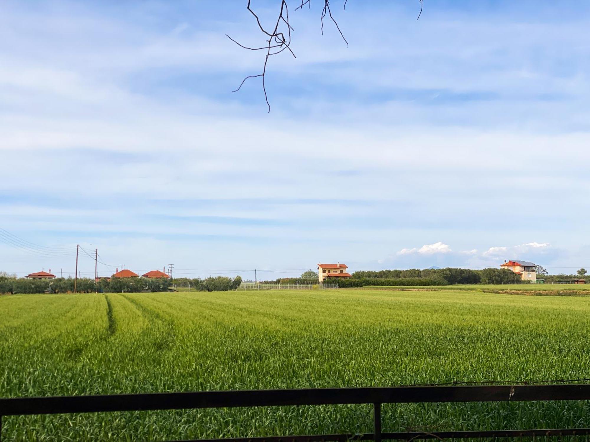 Pond And Pines, By Nice House By The Sea! Apartment Epanomi Bagian luar foto